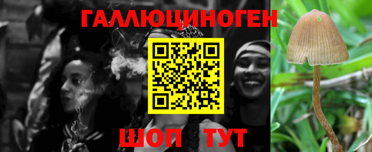Псилоцибиновые грибы Psilocybe  Вход с VPN  Сегежа 