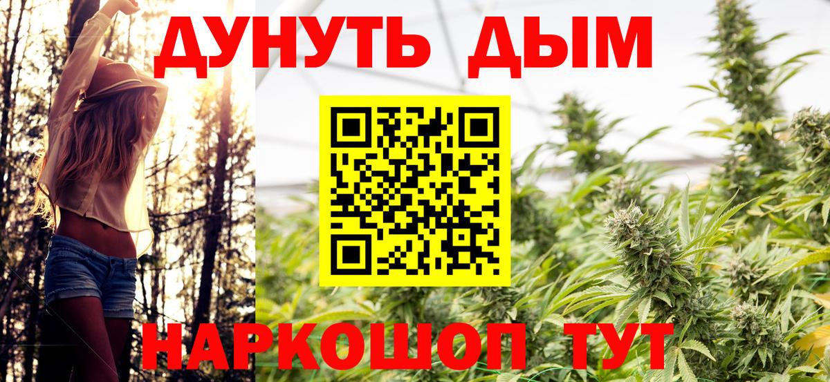 Бошки марихуана планчик  Конопля THC 21%  Сегежа  Конопля Bruce Banner  Вход с VPN 